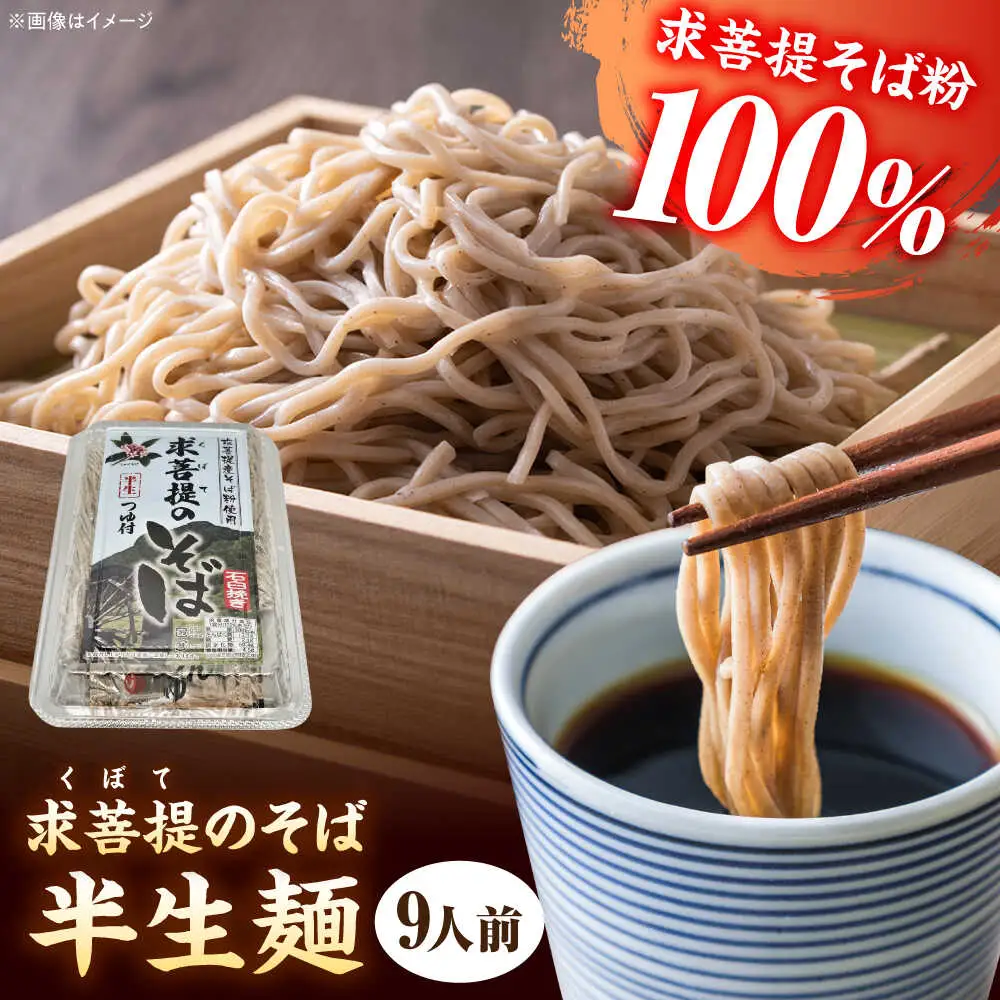 豊前 求菩提そば 石臼挽き 半生麺 9人前[VEQ006]そば