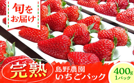 【先行予約】【数量限定40セット】島野農園のいちご（400g×1パック） 紅ほっぺ ほしうらら 【島野農園】[AKHV001]