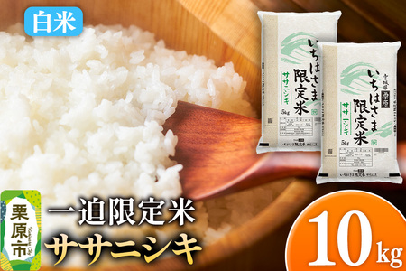 【白米】令和7年産 一迫限定米 ササニシキ 10kg（5kg×2袋）