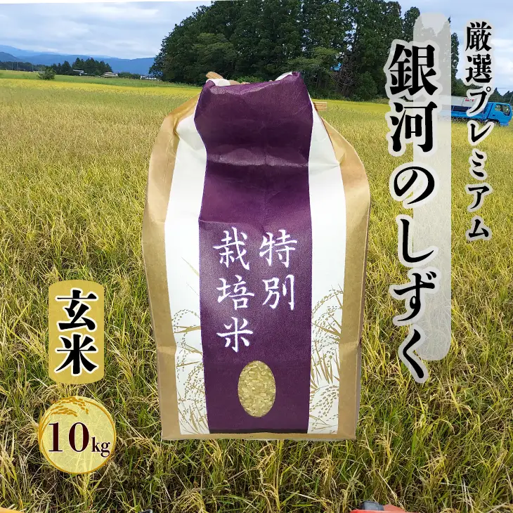 新米 銀河のしずく 厳選プレミアム　玄米10kg【2233】