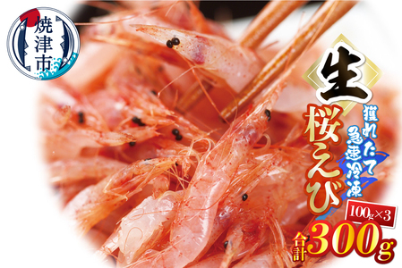生桜えび100g×3パック 合計300g (a10-1249)