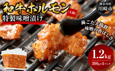 ＜訳アリ＞和牛ホルモン（大腸）　特製味噌漬け　1.2kg(300g×4）【2026年9月発送】
