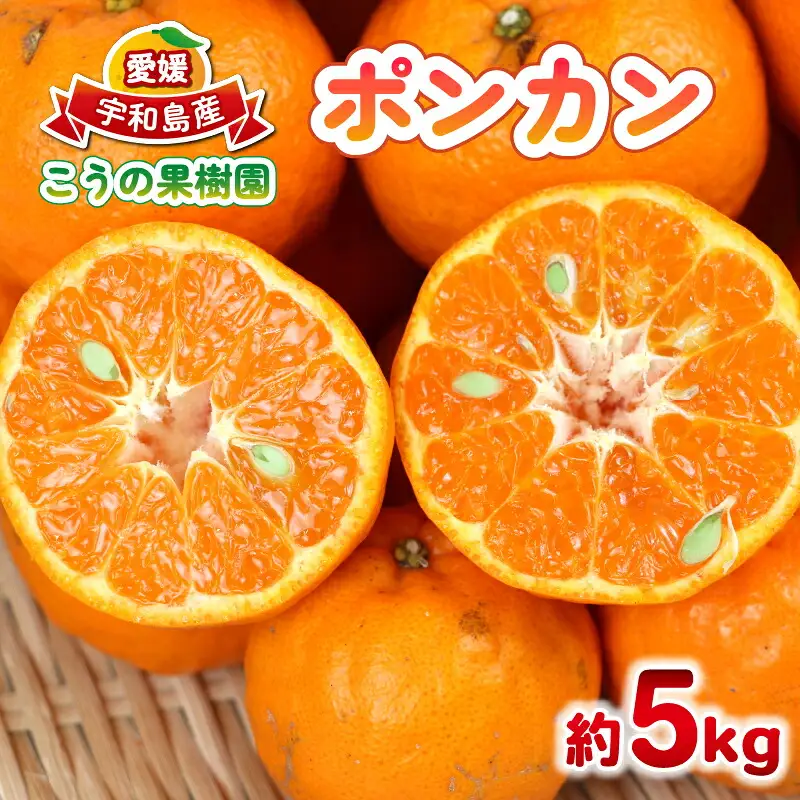 【ポンカン】冬の柑橘 ポンカン 5kg こうの果樹園 B010-182005