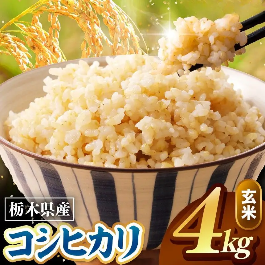 令和8年度産 先行予約 こしひかり 玄米 約4kg