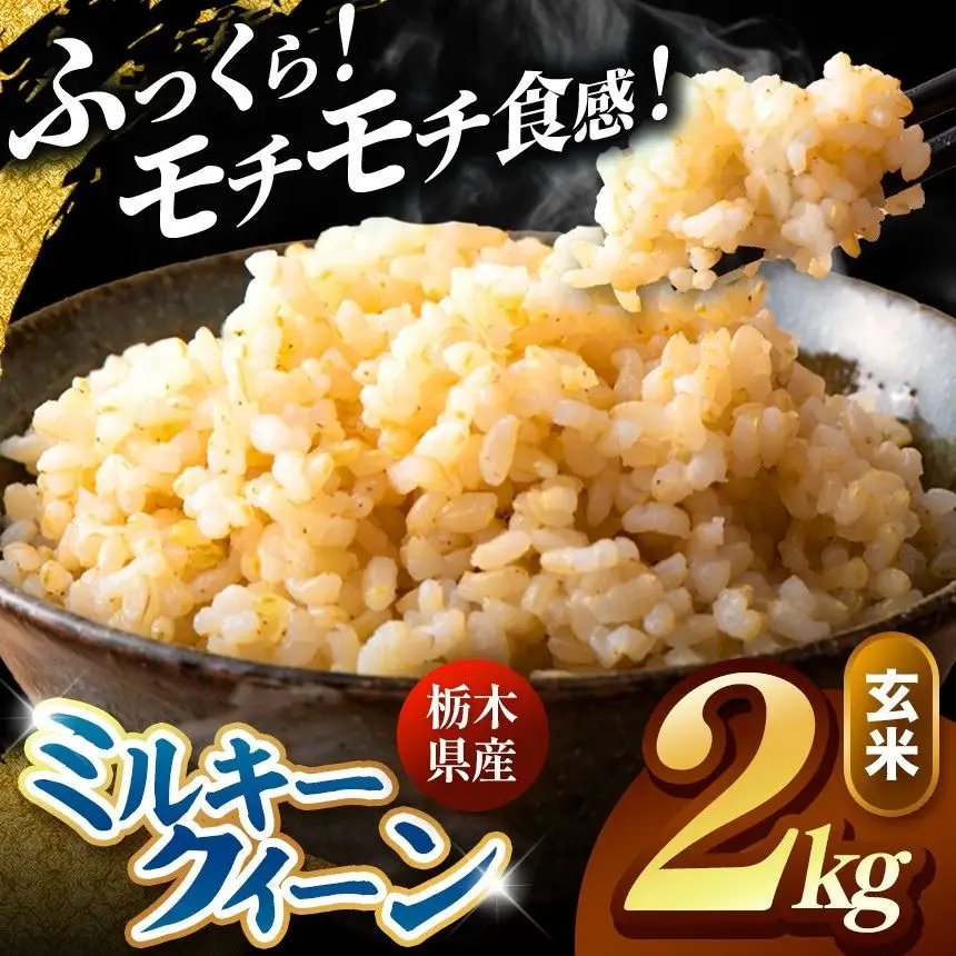 令和8年度産 先行予約 ミルキークイーン 玄米 約2kg