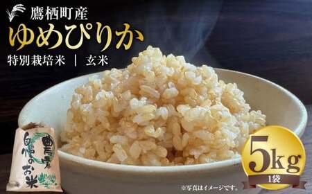 【令和7年産】 ゆめぴりか （玄米） 5kg 北海道 鷹栖町 たかすタロファーム 米 コメ こめ ご飯 玄米 お米 ゆめぴりか コメ 玄米 