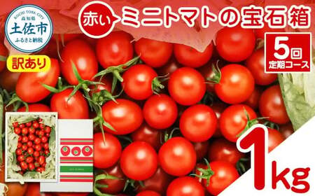【訳あり】【先行予約】【全5回定期便】訳あり 赤いミニトマトの宝石箱 約1kg×5回 / 旬を長く楽しむ定期便〈2026年12月から配送開始〉高知県 土佐市【ファーム輝】 [BQBM013]