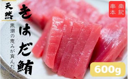 和歌山県産 天然 キハダマグロ 約600g / まぐろ 鮪 キハダマグロ 海鮮 魚貝 魚　【tcr002B】