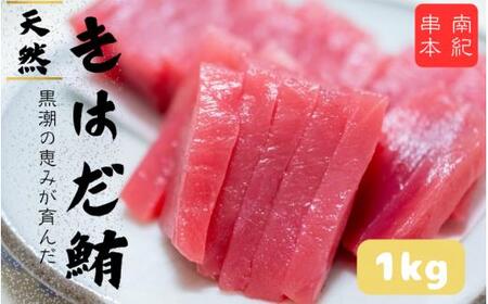 和歌山県産 天然 キハダマグロ 約1kg / まぐろ 鮪 キハダマグロ 海鮮 魚貝 魚　【tcr003B】