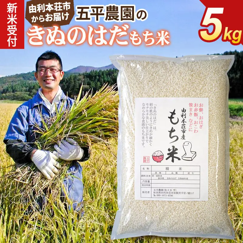 《令和8年産 新米受付》【もち米】きぬのはだ5kg 精米 秋田県 由利本荘市産 五平農園