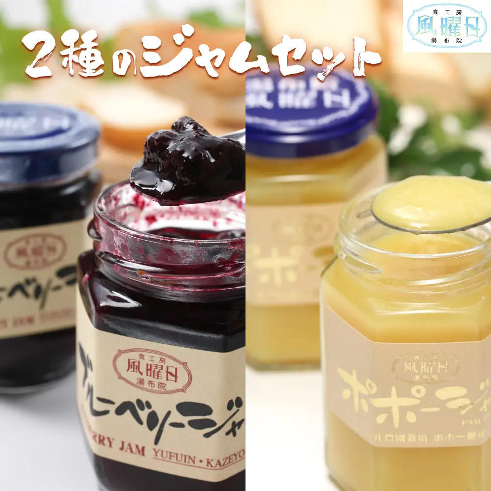 【食工房　風曜日】2種のジャムセット（ブルーベリー・ポポー）