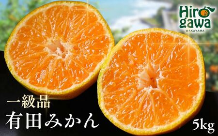 有田みかん 5kg / 和歌山 有田 広川 みかん ミカン 柑橘 果物 くだもの ギフト フルーツ 果実 ※2026年11月中旬〜翌年1月下旬頃に順次発送予定【hkt004-p-5】