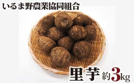 里芋 約3kg | 里芋 いるま野農協 狭山市