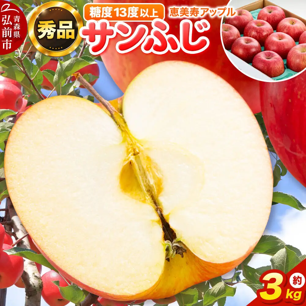 りんご サンふじ 約3kg【秀品】りんご
