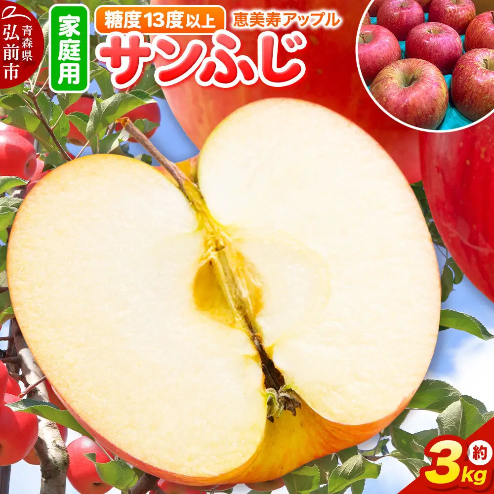 りんご サンふじ 約3kg 【家庭用】りんご