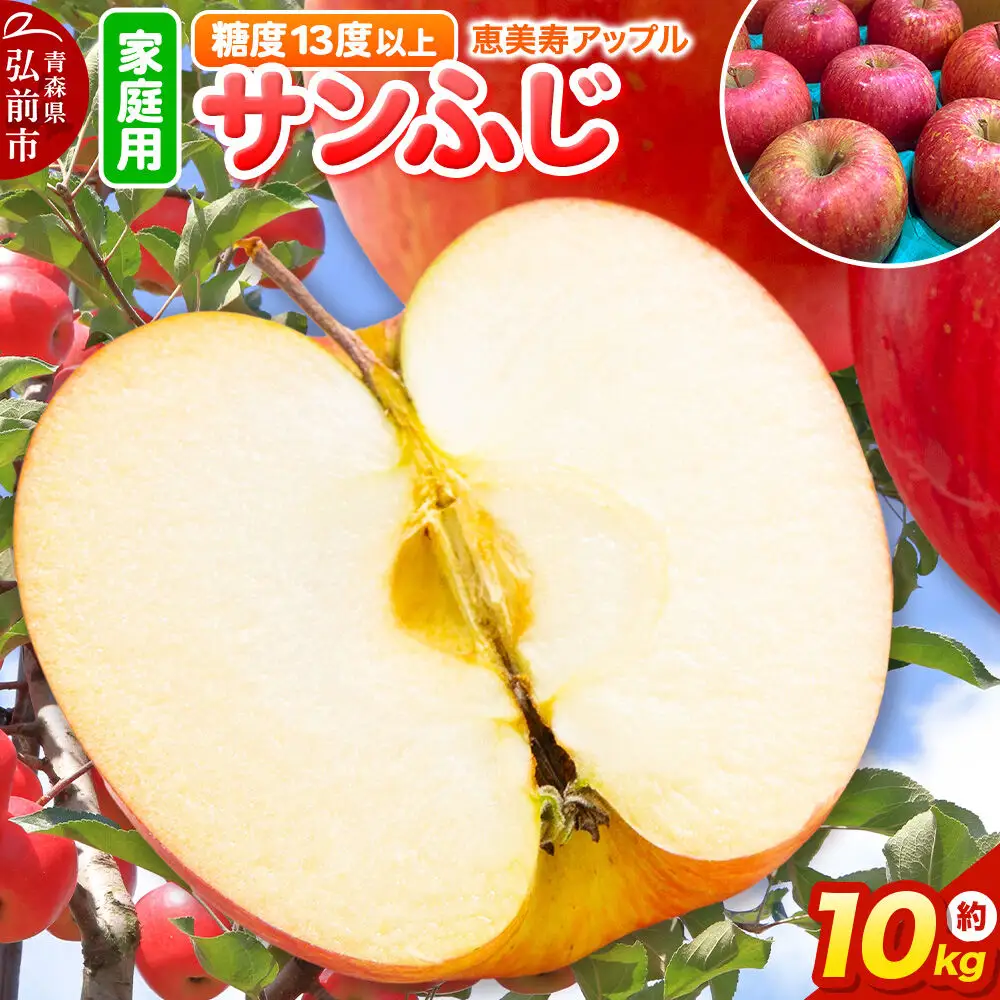 りんご サンふじ 約10kg【家庭用】りんご