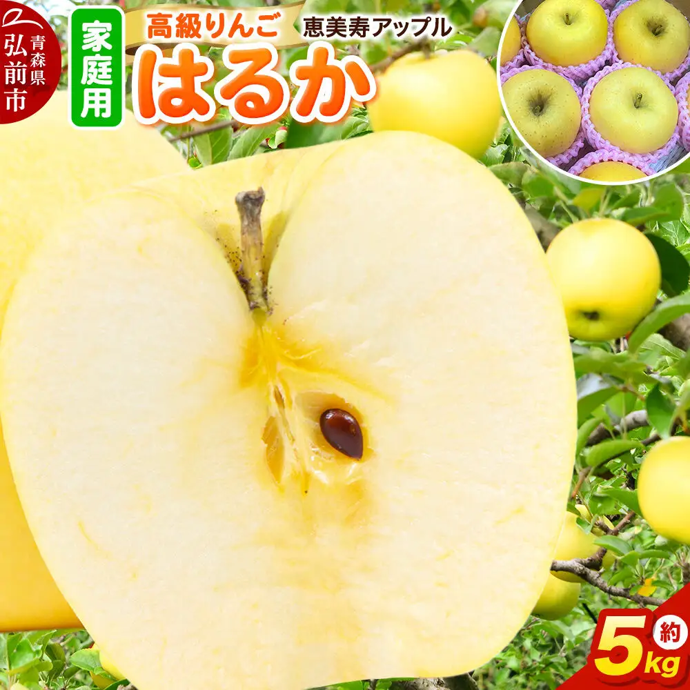 りんご はるか 家庭用 約5kg 先行受付 12月発送 りんご