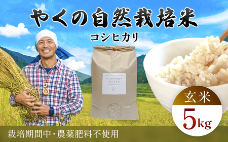 令和8年産先行予約 やくの自然栽培米 コシヒカリ 玄米 5kg ゆたか（ゆたか自然農園）