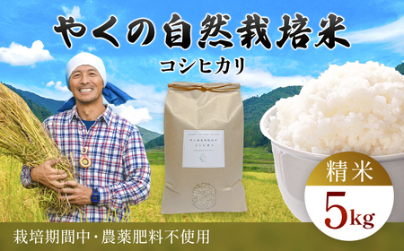 令和8年産先行予約 やくの自然栽培米 コシヒカリ 精米 5kg ゆたか（ゆたか自然農園）