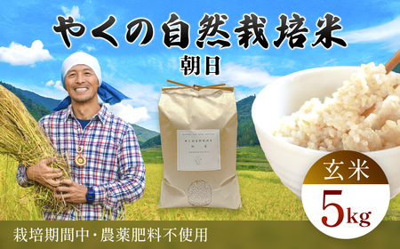 令和8年産先行予約 やくの自然栽培米 朝日 玄米 5kg ゆたか（ゆたか自然農園）