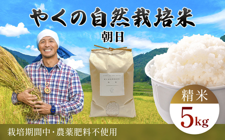 令和8年産先行予約 やくの自然栽培米 朝日 精米 5kg ゆたか（ゆたか自然農園）