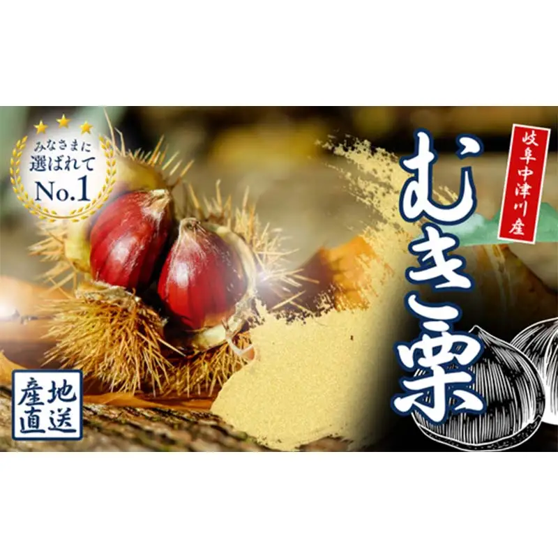 【中津川産】天然むき栗 500g 和菓子・栗ご飯に最適！瞬間冷凍 F4N-2575