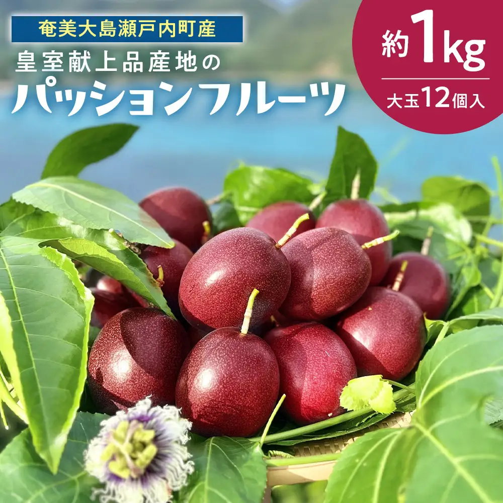 2027年発送 奄美大島産のパッションフルーツ 大玉 12個入り 約1kg 先行予約