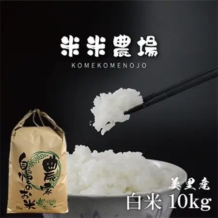 【令和7年産】熊本県美里町のお米 ヒノヒカリ 10kg×1袋_白米 お米 米 ごはん おにぎり_【1681365】