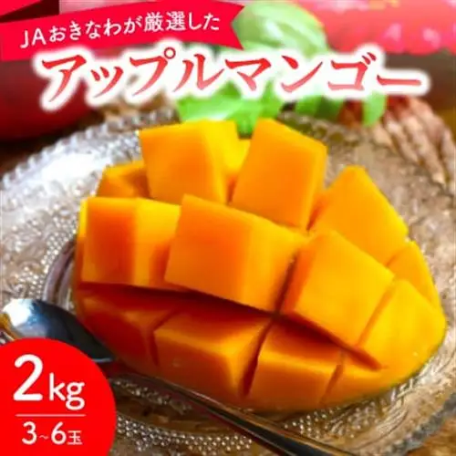 【2027年7月から順次発送・化粧箱】JAおきなわが厳選したアップルマンゴー2kg(3～6玉)【配送不可地域：離島】【1681769】