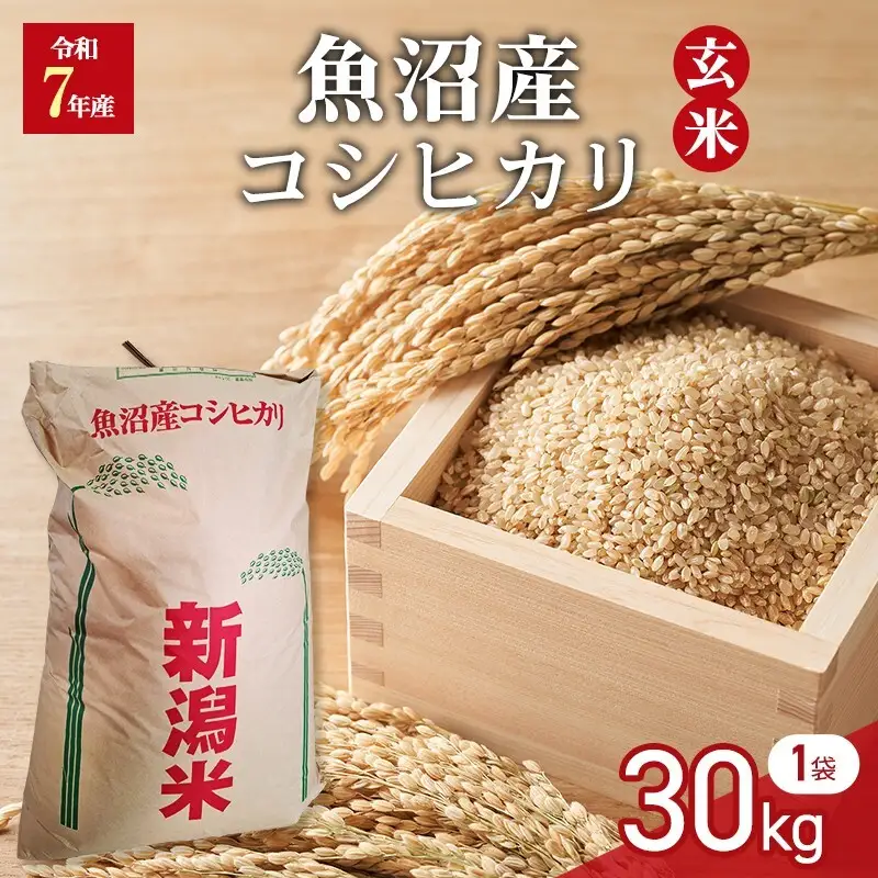 令和7年産　玄米　魚沼産コシヒカリ　30kg　1袋
