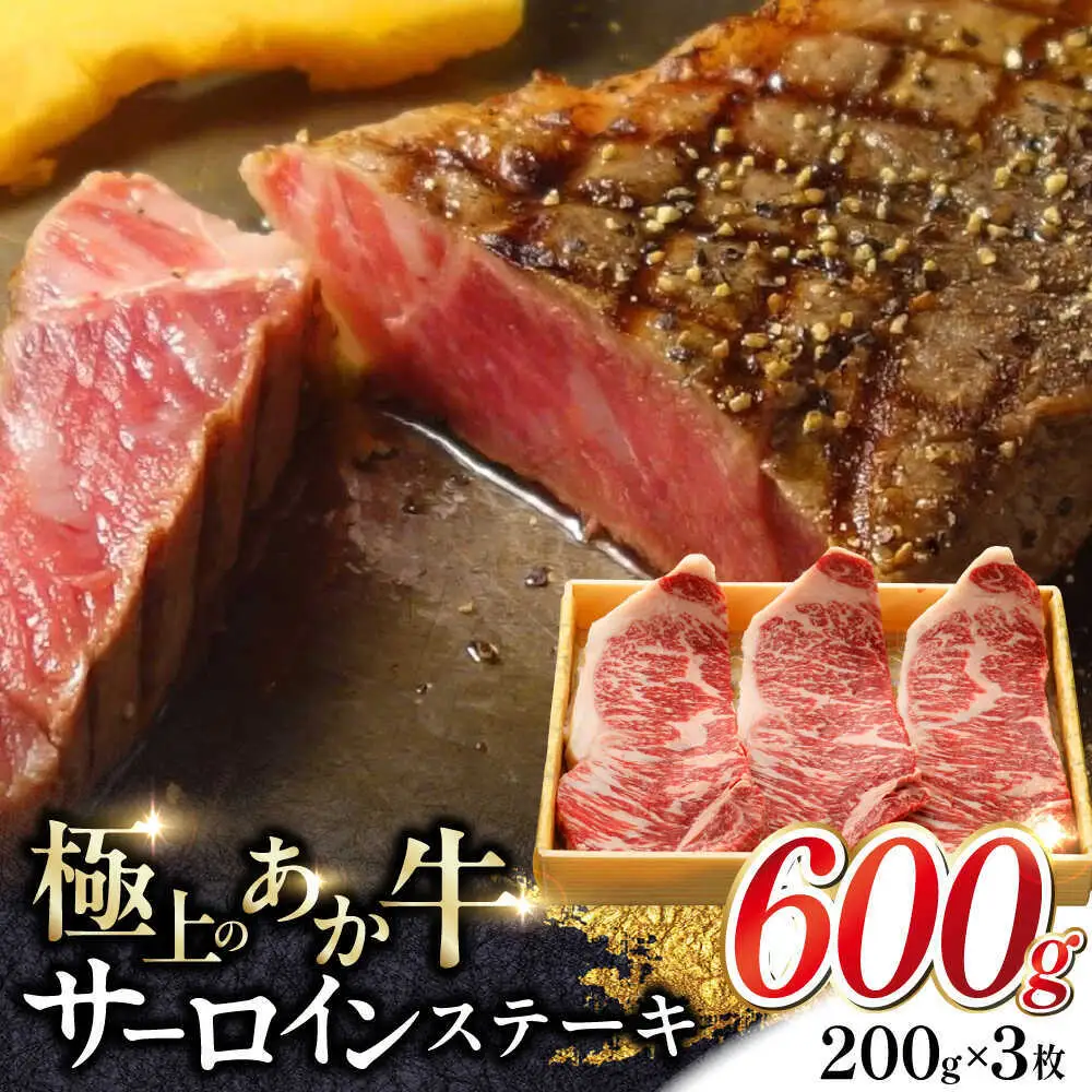 あか牛サーロインステーキ 約200g×3枚 あか牛サーロインステーキ[AYCQ059]