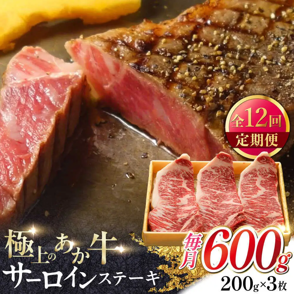 【全12回定期便】あか牛サーロインステーキ 約200g×3枚 あか牛サーロインステーキ[AYCQ062]