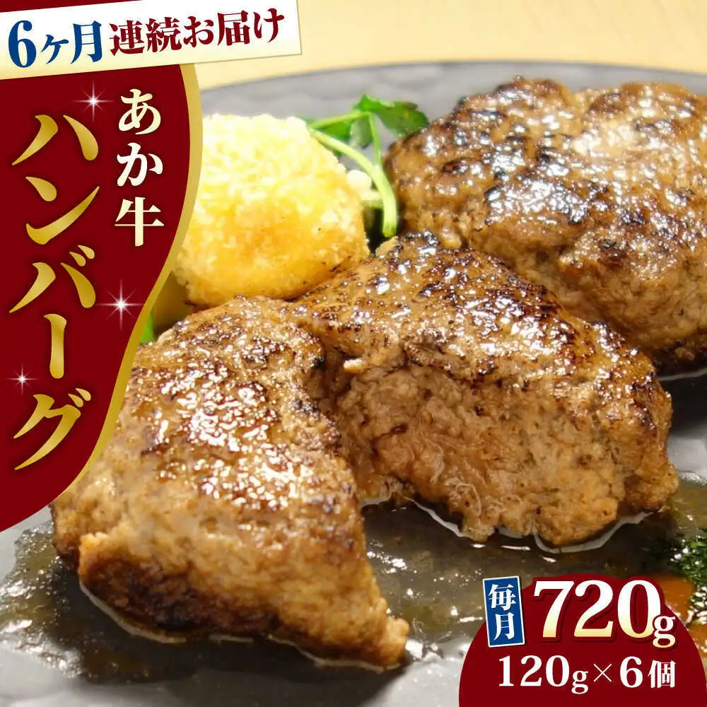 【全6回定期便】あか牛 100％ハンバーグ 約120g×6個 ハンバーグ[AYCQ084]