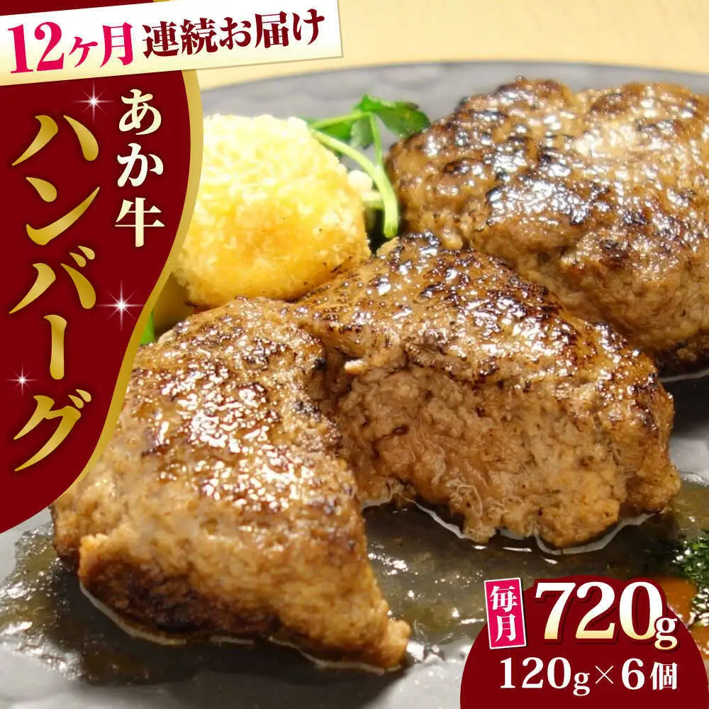 【全12回定期便】あか牛 100％ハンバーグ 約120g×6個 ハンバーグ[AYCQ085]