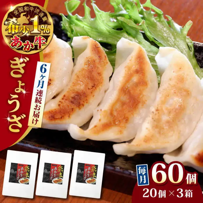【全6回定期便】熊本県産 あか牛 ぎょうざ 20個×3箱 ぎょうざ[AYCQ090]