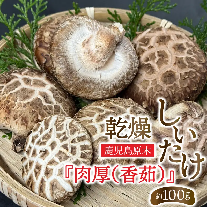 鹿児島 原木 乾燥 しいたけ 『 肉厚 （ 香茹 ） 』 約100g K205-003