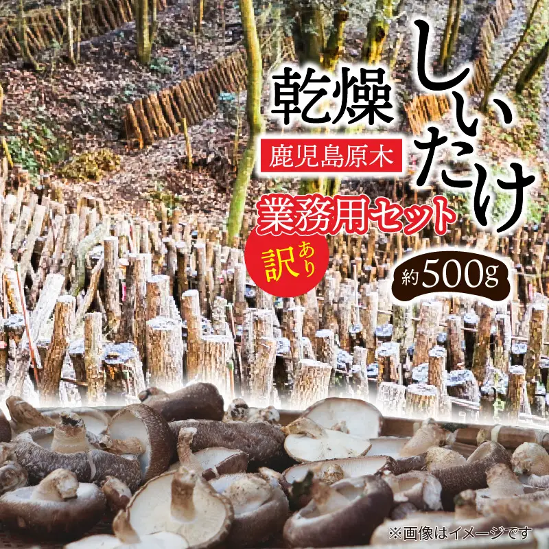 【 訳あり 】  鹿児島 原木 乾燥 しいたけ お得 セット 約500g K205-004