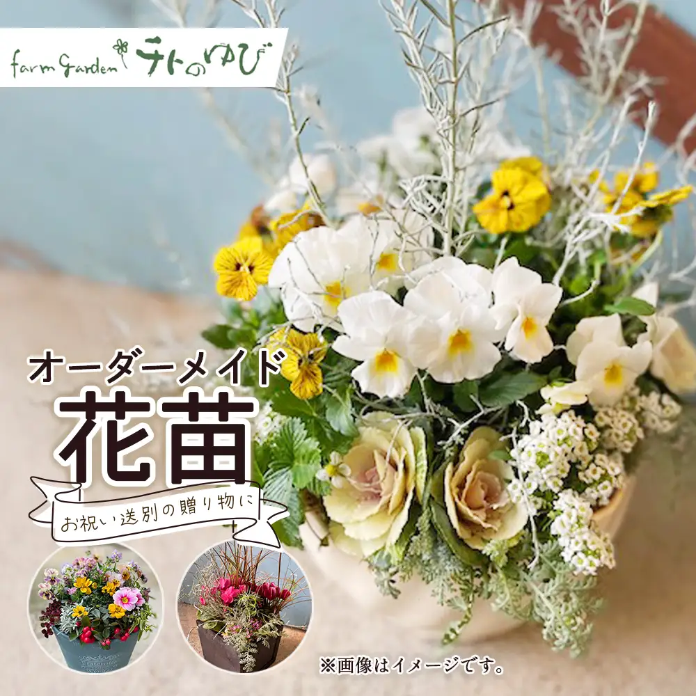 オーダーメイド型（花苗） 花 寄せ鉢 贈り物 プレゼント 記念日 お祝い