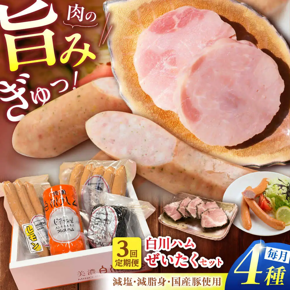 【3回定期便】 美濃白川ハム 4種セット / 白川町農業開発[AWAH021]