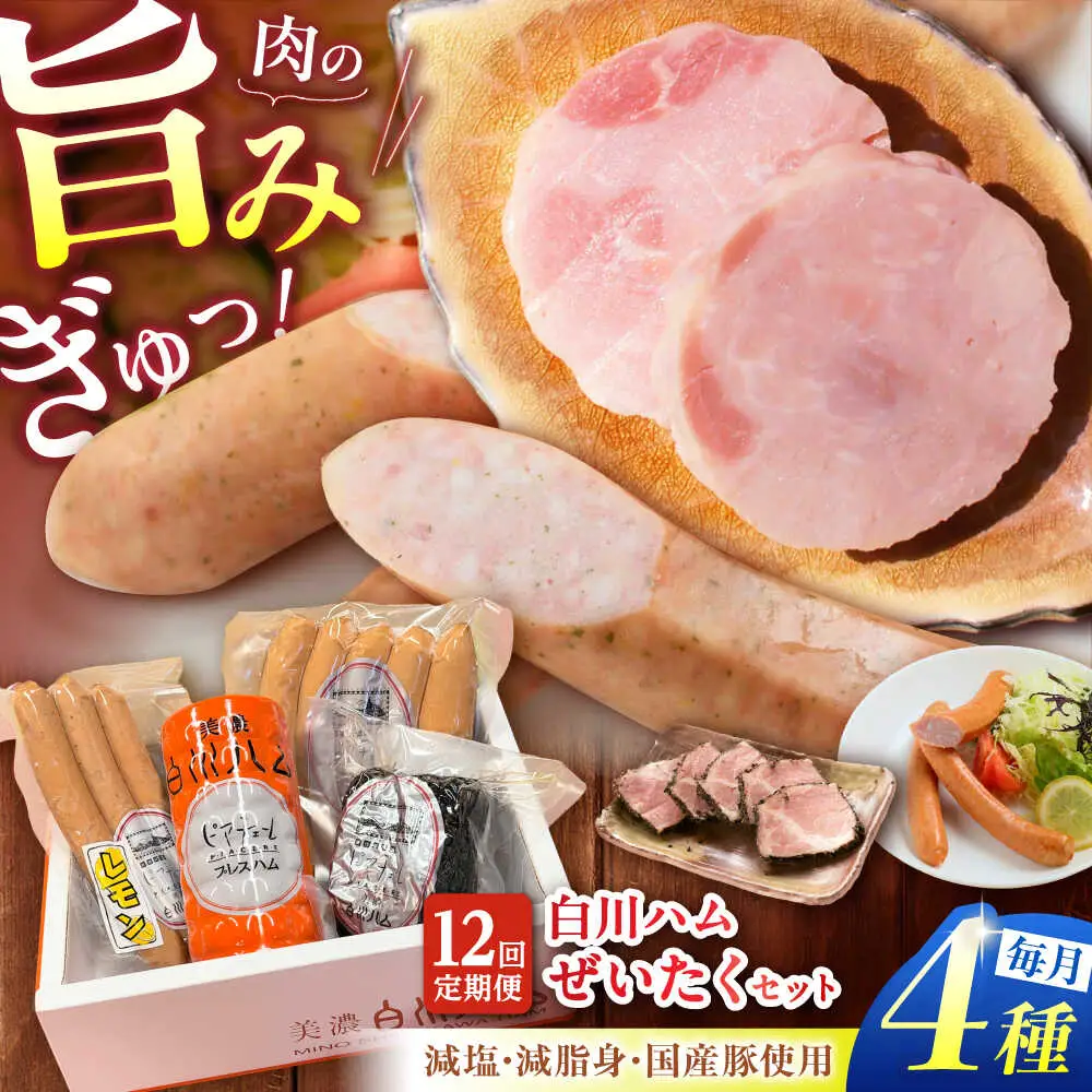 【12回定期便】 美濃白川ハム 4種セット / 白川町農業開発[AWAH023]
