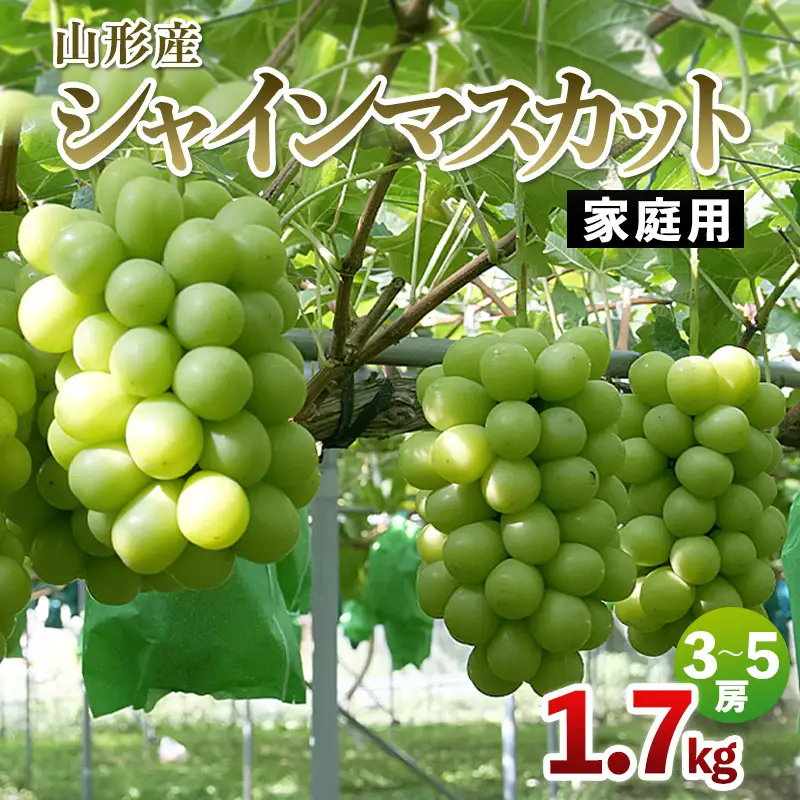 【家庭用】山形産 シャインマスカット 1.7kg(3～5房)【令和8年産先行予約】FS25-080