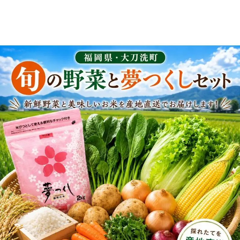 【定期便 年6回】おいしかぁ～便 詰め合わせセット 6ヶ月 お楽しみ ファミリーセット 家族用 野菜 やさい 米 新鮮 新鮮野菜 家庭用 新鮮 福岡県 大刀洗町