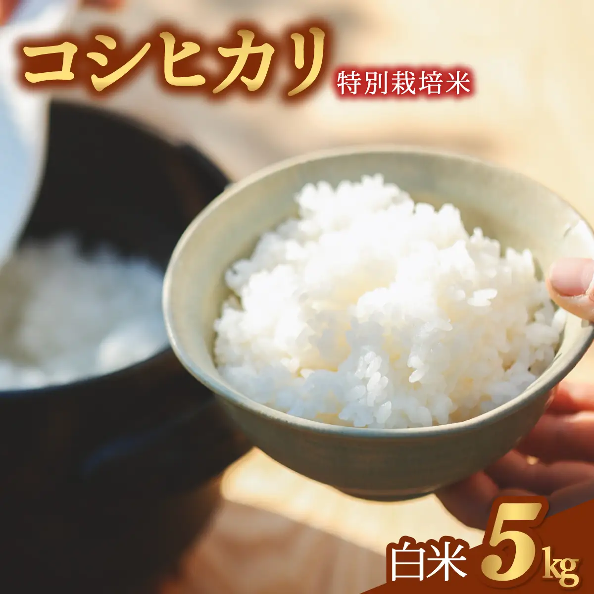 コシヒカリ 特別栽培米 白米 5kg