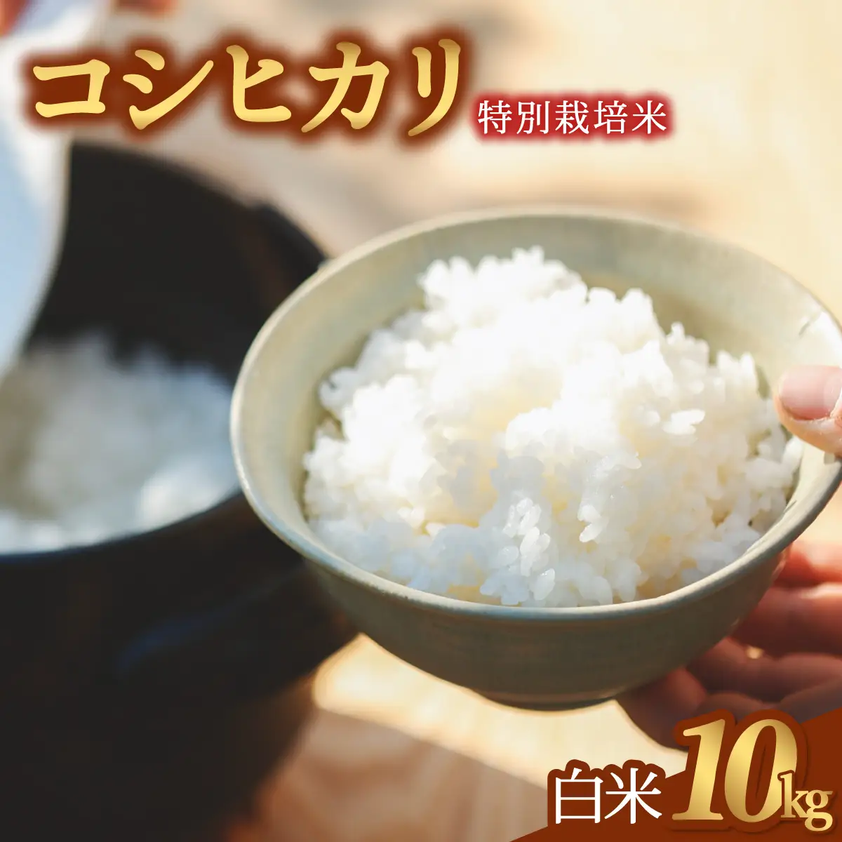 コシヒカリ 特別栽培米 白米 10kg