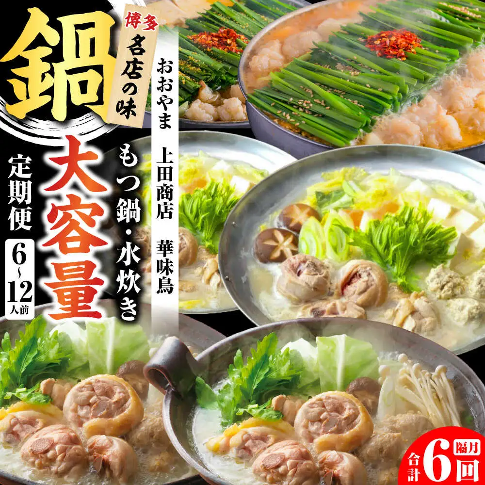 【隔月6回定期便】鍋大容量定期便 [BGAD080]鍋