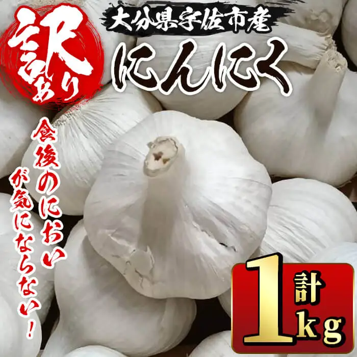 ＜先行予約受付中！2026年9月上旬以降順次発送予定＞＜訳あり・不揃い＞食後のにおいが気にならないニンニク(計1kg) にんにく ニンニク 野菜【116600200】【シイズンドアグリ】
