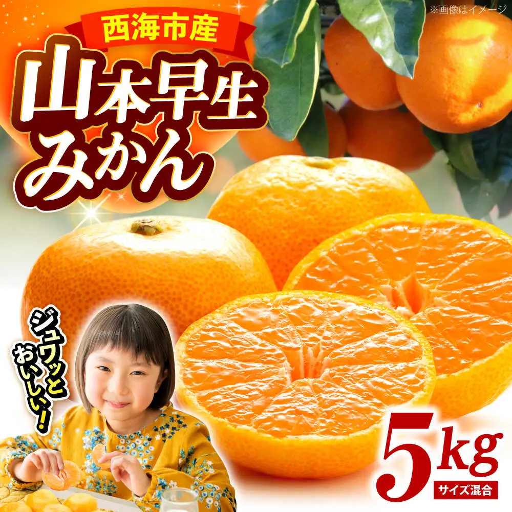【11月中旬より配送開始】 山本早生 みかん 約5kg（S,Mサイズ混合）＜濱崎ファーム＞ [CGT001] みかん