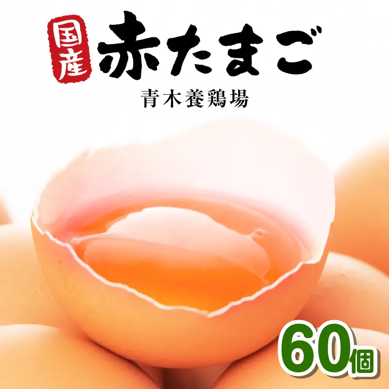 国産　赤卵　60個入｜卵 新鮮 阿久比町
