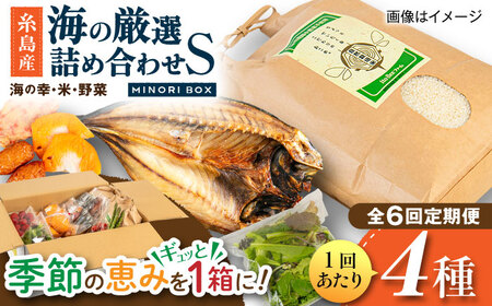 【全6回定期便】糸島産 魚 米 野菜 果物 厳選詰め合わせ MINORI BOX Sサイズ 糸島市 / emma.Inc / 米 魚 野菜 詰め合わせ[AOP021]