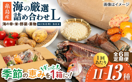 【全6回定期便】糸島産 魚 米 野菜 果物 厳選詰め合わせ MINORI BOX Lサイズ 糸島市 / emma.Inc / 米 魚 野菜 果物 詰め合わせ[AOP029]